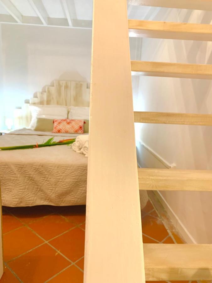 Somptueux Duplex Sur La Route Des Plages 생트안느 외부 사진