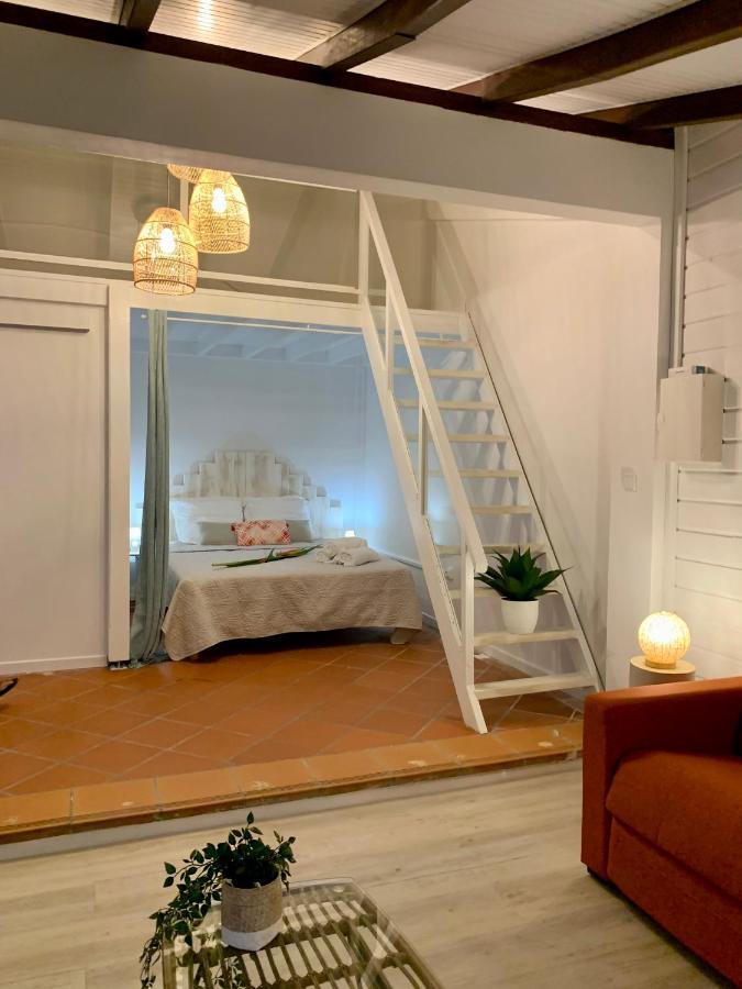 Somptueux Duplex Sur La Route Des Plages 생트안느 외부 사진